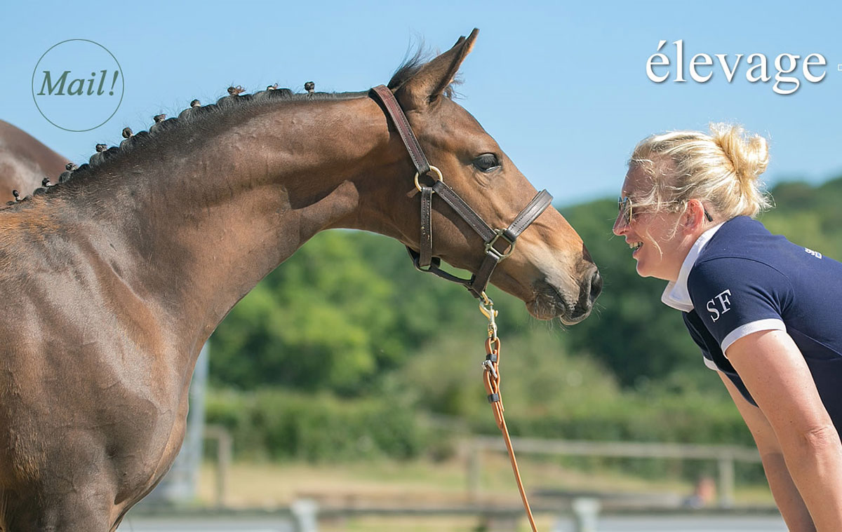 HARAS-DE-BRULLEMAIL