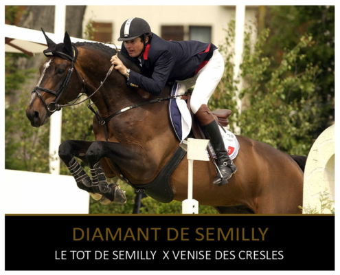 DIAMANT DE SEMILLY