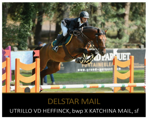 DELSTAR MAIL