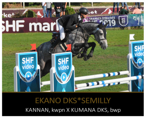 EKANO DKS SEMILLY