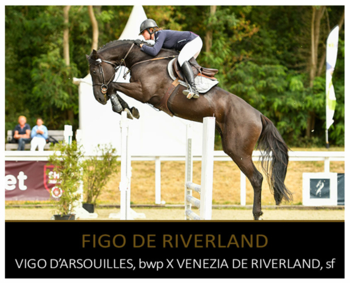 FIGO DE RIVERLAND