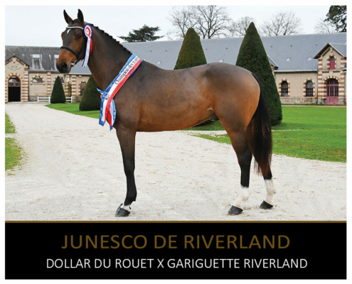 junesco de riverland