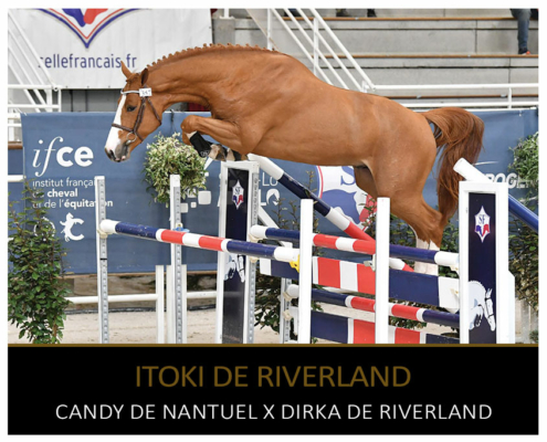 ITOKI DE RIVERLAND