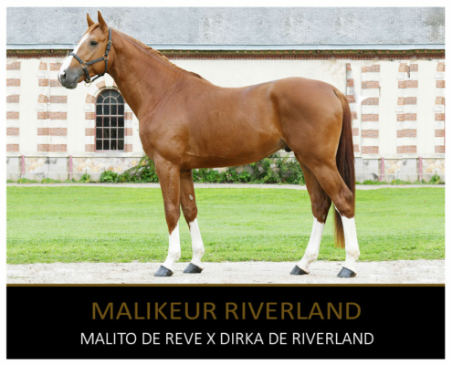 MALIKEUR RIVERLAND