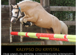 Kalypso du Krystal