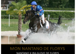 Mon nantano de Florys