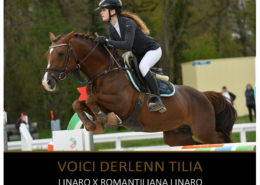 Voici Derlenn Tilia